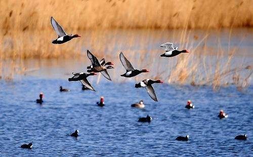 南昌公交最美沿途风景,最美公交路线南昌159