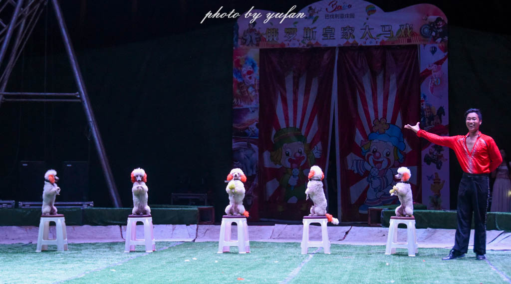 皇家大马戏巴伐利亚,广东哪里有大马戏