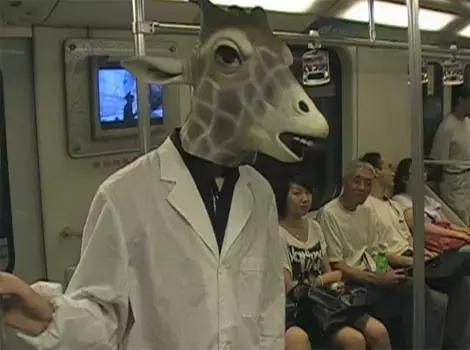 魔都是个很神奇的地方,魔都是个神奇的地方