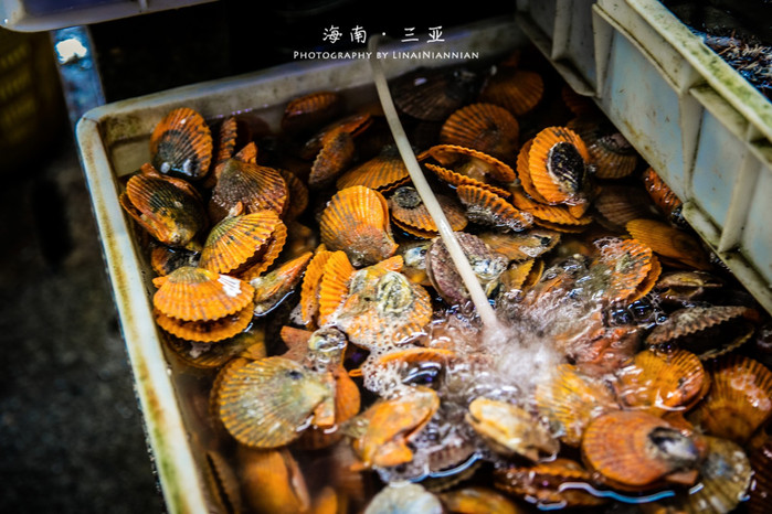 亲子游三亚旅行攻略,三亚北纬十八度亲子游