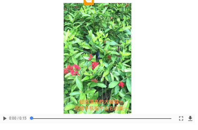 北纬十八度之三亚,北纬18度的旅行三亚游记