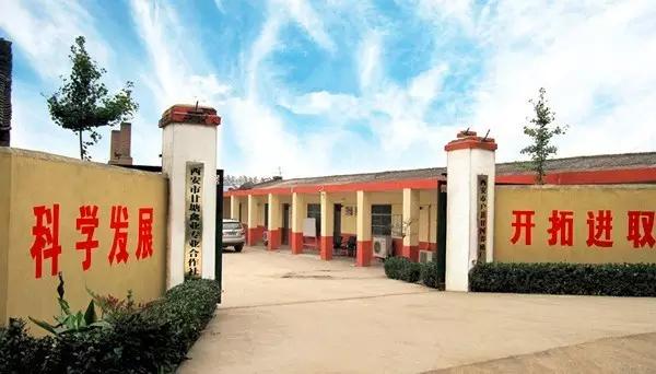 都说养牛不挣钱真的假的,中职畜牧养殖