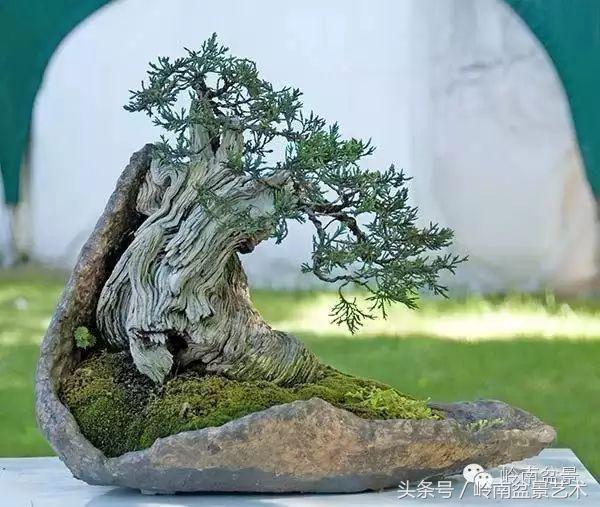 月圆夜，陪您过中秋