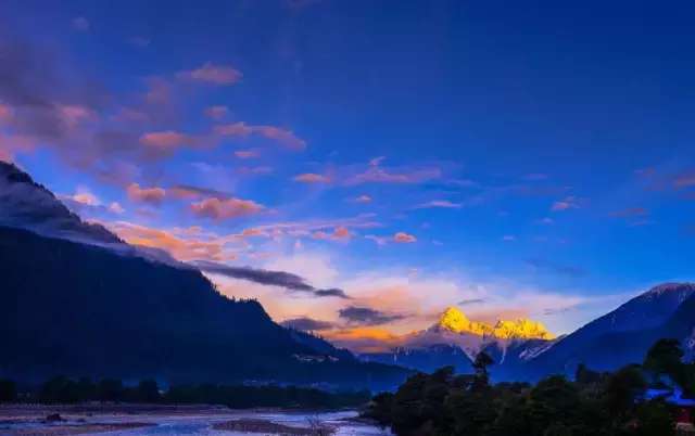 一封来自*藏西**的辞职信