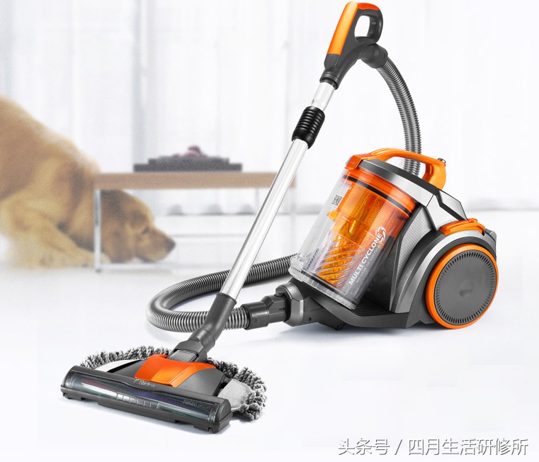 家有毛孩子日常,家有毛孩子的陪伴不孤单