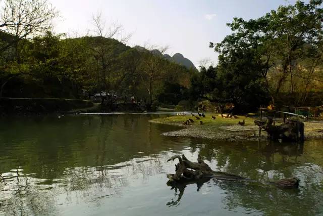 清明小长假出游提醒 (清明小长假微信消息)