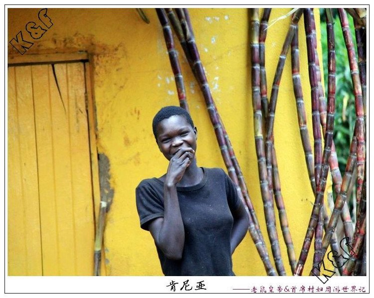 肯尼亚邮局*规则潜**：只要你吃狗肉，我就坚决不给你盖邮戳