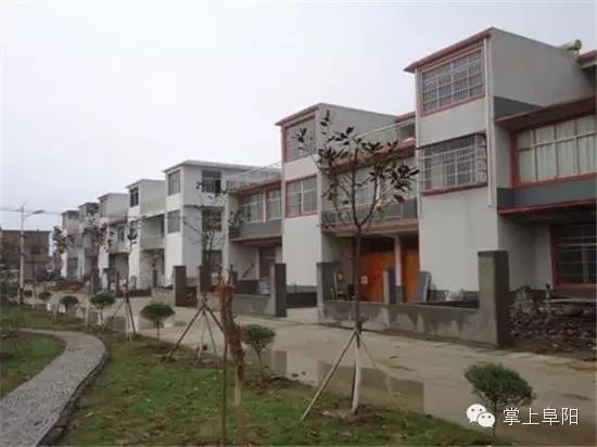 阜阳哪个乡镇有好看的风景,阜阳最美村庄排名第一的是哪个