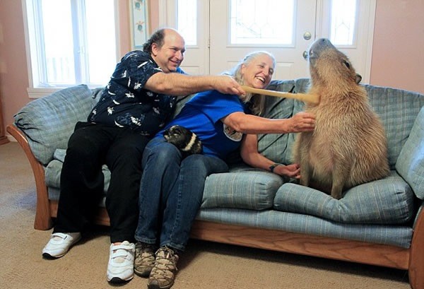 人见人爱车见车载花见花开,人见人爱花见花开车见车英文