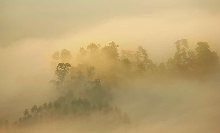 罗定看云海需要什么天气条件,云浮大云山看云海