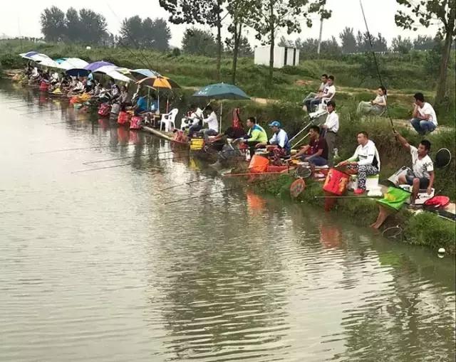 汝南钓鱼大赛,行营钓鱼比赛现场直播