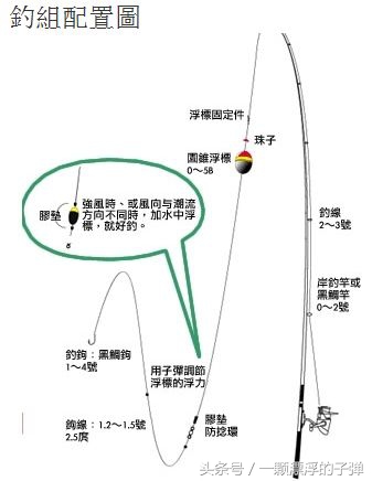 海洋矶钓鱼教学,海洋矶钓钓法