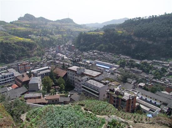 藏在深山里的文物,藏在深山里的老茶