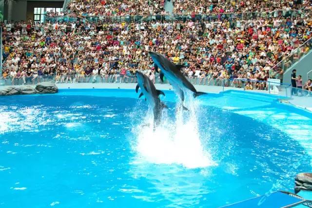 对不起成都，我只能给你90分！