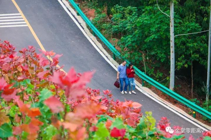 不想上班就去看看大城市,不想上班想去看山和海