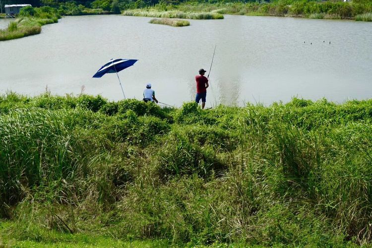 温州市七都镇有什么好景点,温州七都岛适合带孩子去玩