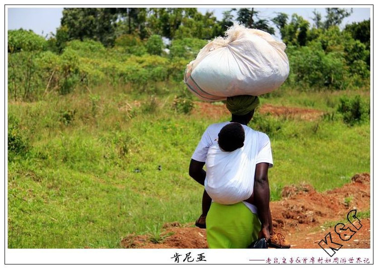 肯尼亚邮局*规则潜**：只要你吃狗肉，我就坚决不给你盖邮戳