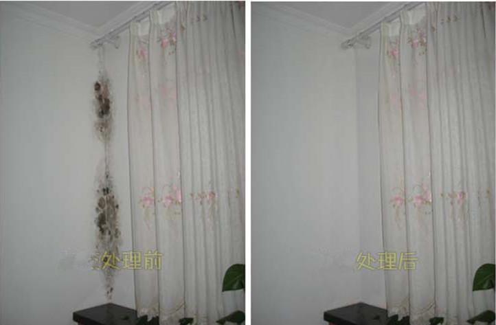 家里墙壁潮湿发霉怎么解决,家里潮湿墙面发霉怎么解决