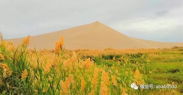 沙漠明珠月牙泉视频,沙漠月牙泉句子