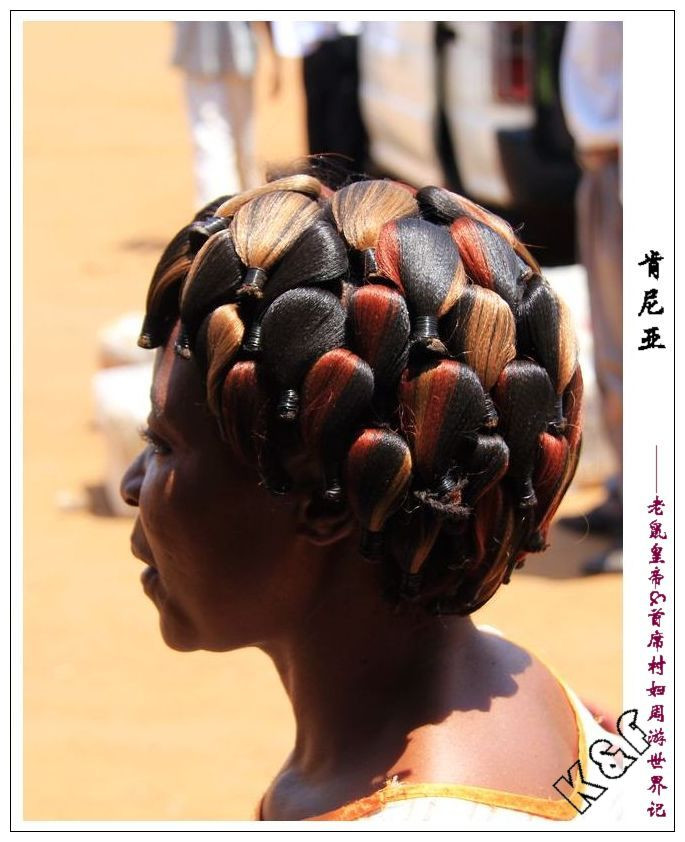 肯尼亚邮局*规则潜**：只要你吃狗肉，我就坚决不给你盖邮戳