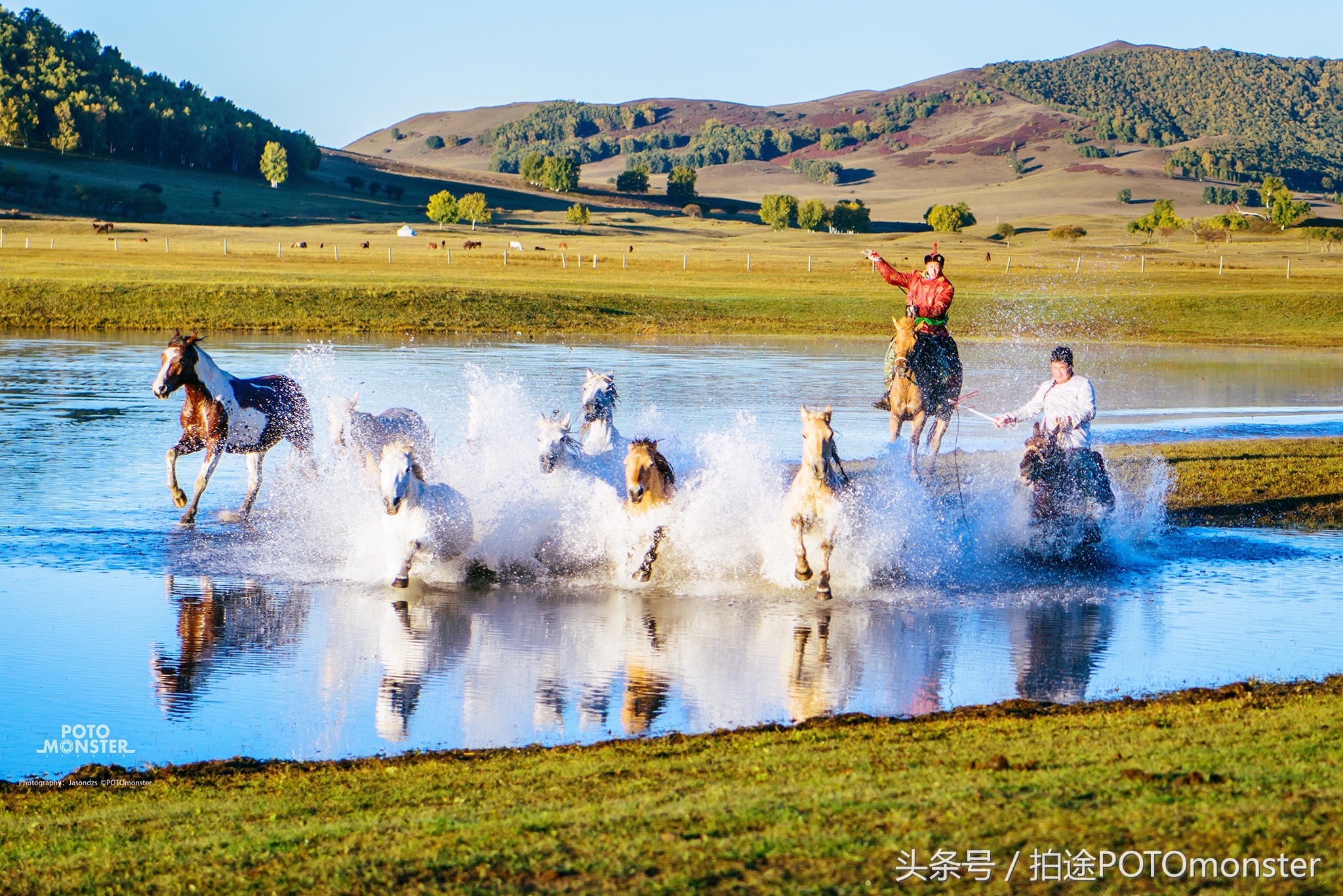 坝上草原奔马摄影作品,坝上草原拍奔马