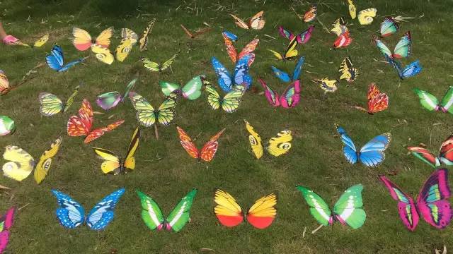 热气球南海桂城,桂城足球农庄团购