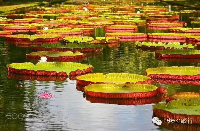 这个与马尔代夫隔海相望的火山岛国，免签人少，还可以玩遍海陆空