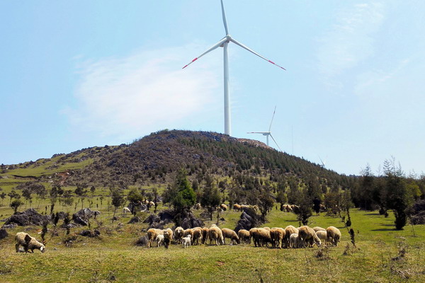 个旧老阴山玻璃栈道购票,个旧老阴山草场