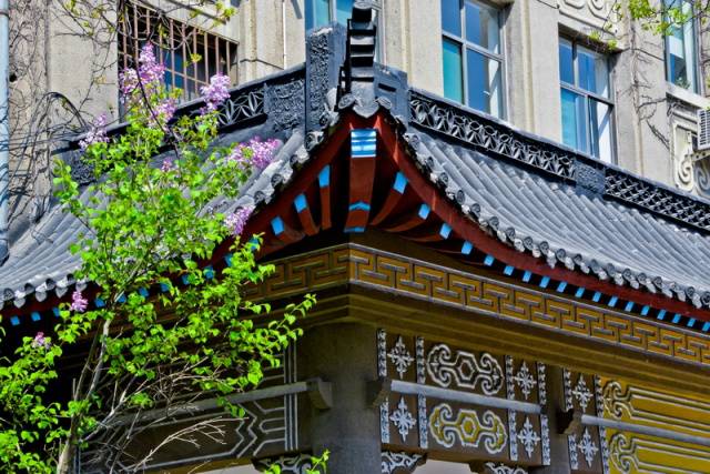 趣谈山大趵突泉校区，春风十里不如你