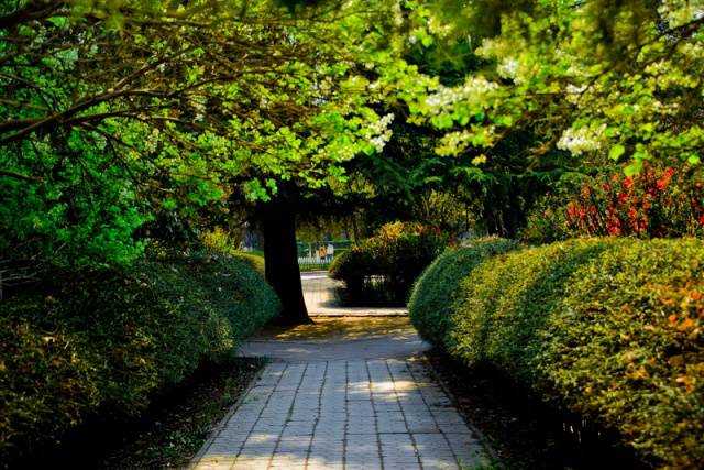 趣谈山大趵突泉校区，春风十里不如你