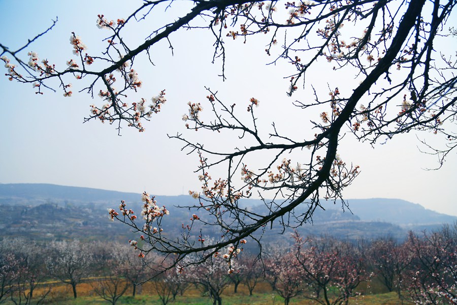 聚焦陕西蓝田泄湖镇,蓝田县洩湖镇发展规划