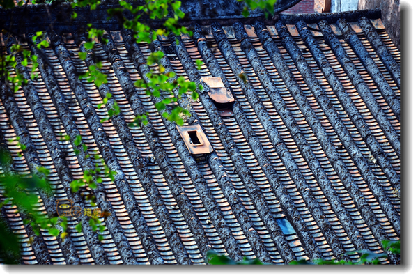 十二道锋味谢霆锋潮汕牛肉,十二道锋味隆苑咖啡谢霆锋