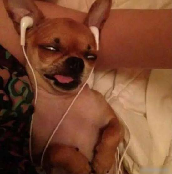 你眼里的丑也许是别人眼里的美,为什么别人很美而自己很丑