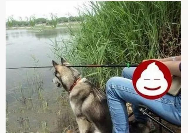 爱情的巨轮说沉就沉淀,爱情的巨轮说沉就沉下句怎么接