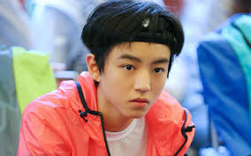 李易峰TFBOYS吴磊杨洋井柏然的前任和未来老婆原来长这样