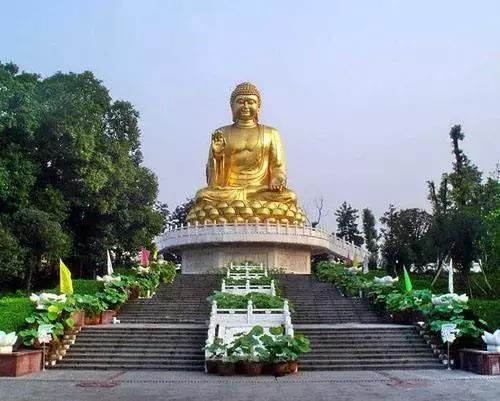 逛吃逛喝九龙坡，一站式休闲娱乐的不二选择