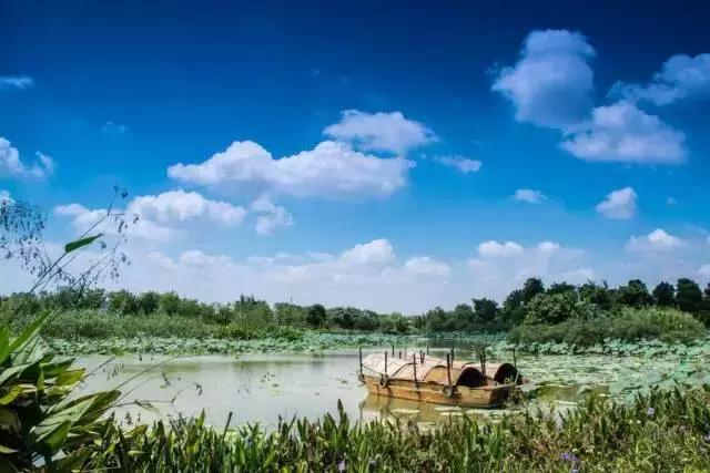 明天起，海珠区的人将身价暴涨！