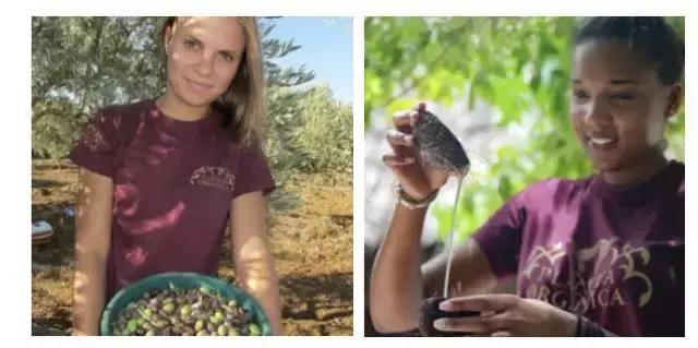 你居然是这样的战斗民族？一大波俄罗斯小众安利居然这么好用！