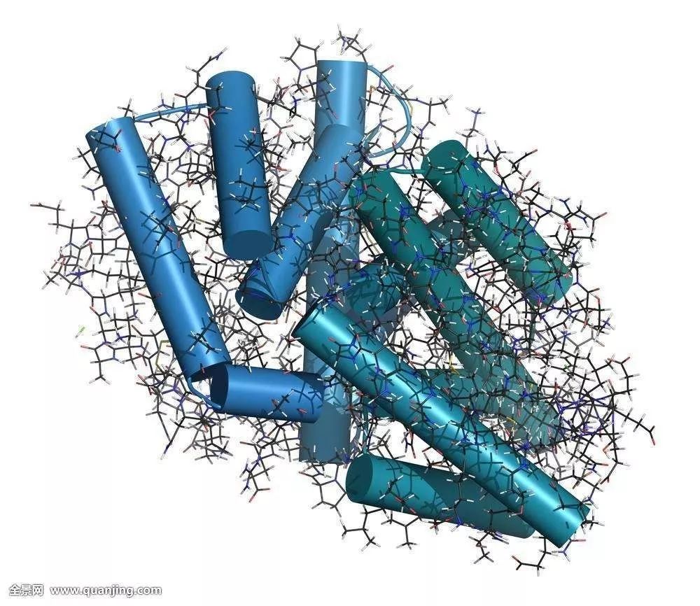 猫咪喝药呛到气管里总咳嗽,猫咪像是呛到了一样咳嗽