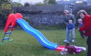 解放初期娶两个老婆的人有吗,解放后有好几个老婆的人怎么办