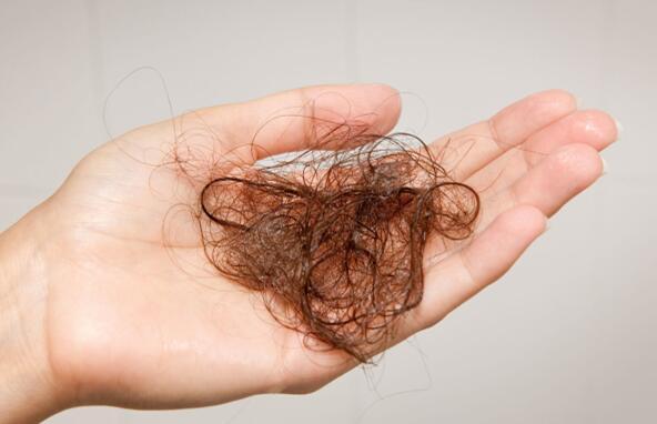 你知道吗？脱发不长，首先要防止脱发毛囊损伤和功能退化