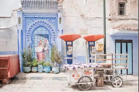 喵星人｜铲屎大大，发现一个超适合撸猫的地方……