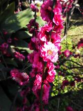 十劝世人大实话完整版,十劝世人大实话