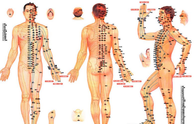 科学家发现经络器官,古代科技揭开人体经络的奥秘