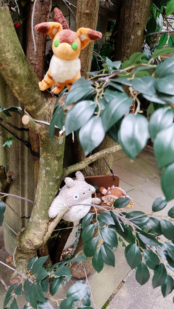 日本长崎自由行旅游攻略,日本长崎一日旅游攻略