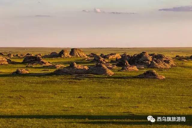 去了内蒙为什么敬酒三杯，哈达怎么接，马奶也是良药？