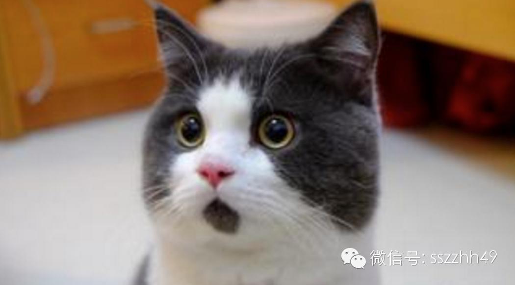 健身是一场修行完整版,健身是一场永不停息的旅行