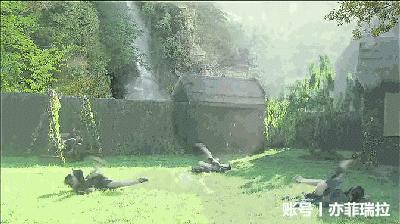 被封神84年的西游记盘丝洞,张纪中西游记误入盘丝洞