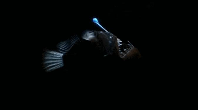 等了17年,等了你十七年