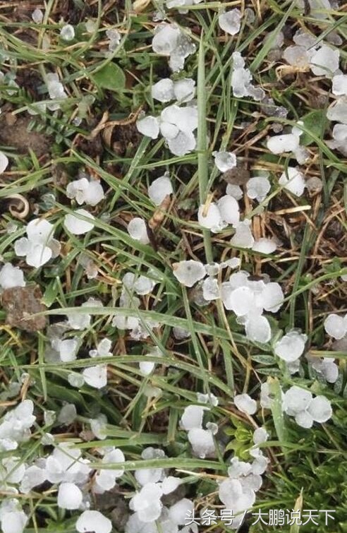 散文小小说怎样投稿,散文小小说